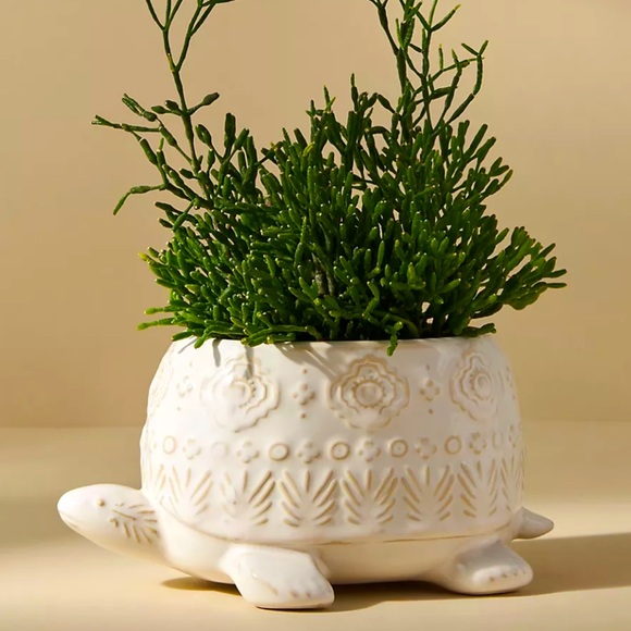 Anthropologie Turtle Planter nwt great gardeners gift - Picture 1 of 7